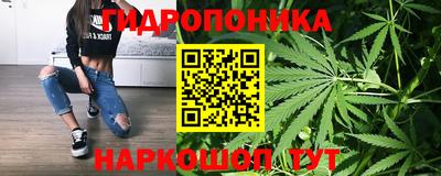 гидра Малгобек