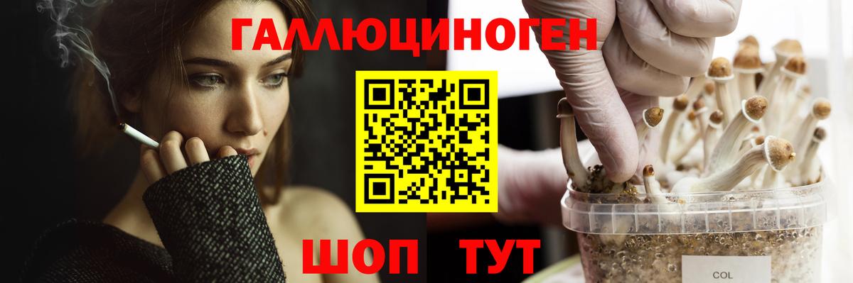 Новороссийск  Псилоцибиновые грибы ЛСД  Вход с VPN 